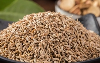 孜然包裝機，給您最好的享受