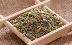 如何選擇茶葉包裝機(jī)廠家？選擇標(biāo)準(zhǔn)解析茶葉包裝機(jī)廠家。